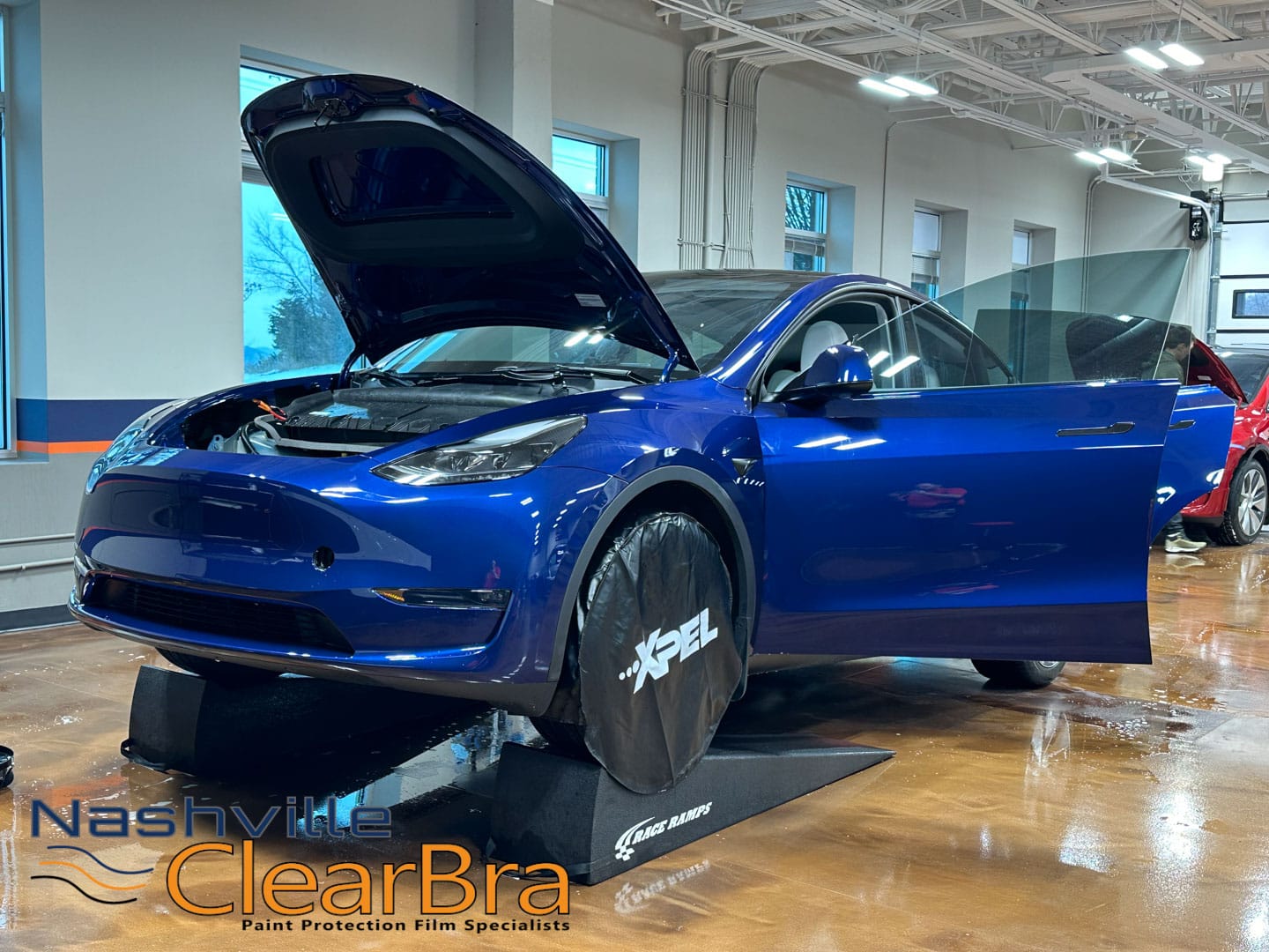 Blue Tesla Model Y XPEL ULTIMATE PPF Clear Bra