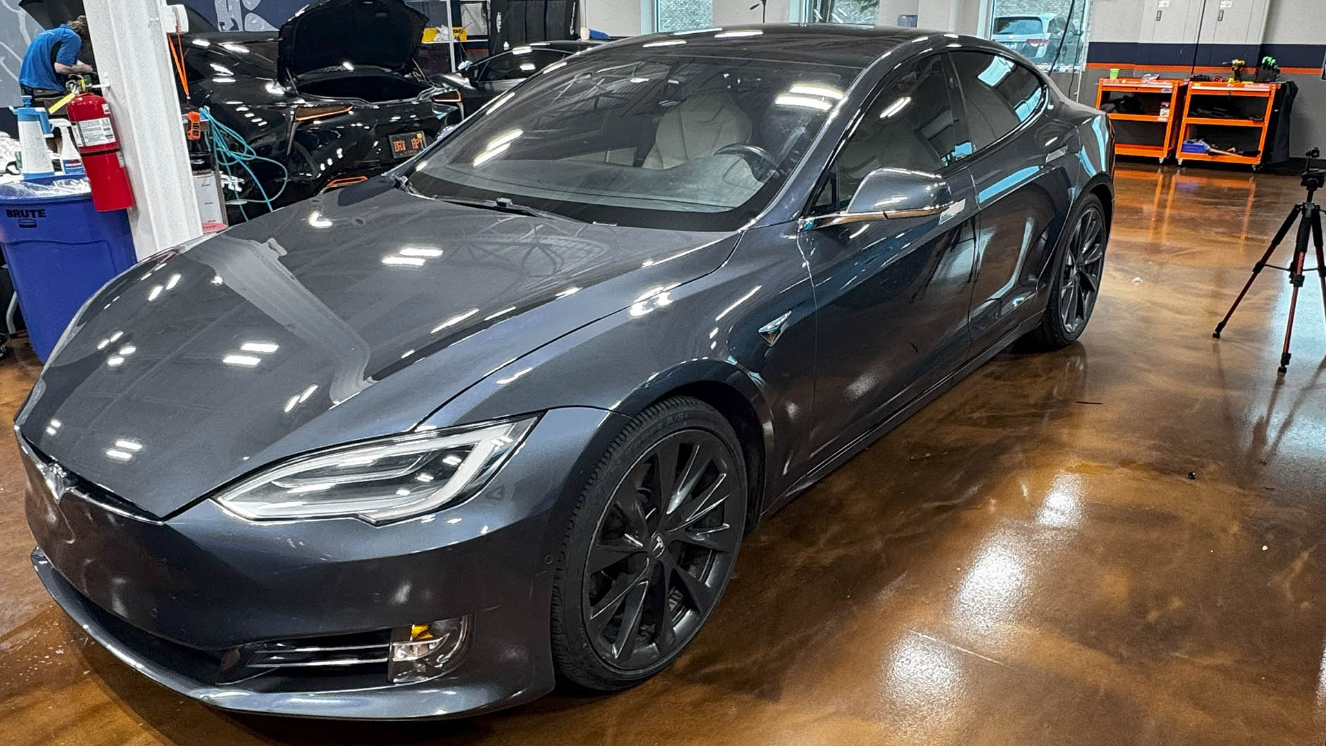tesla model 3 midnight gray full front ppf xpel ultimate | NASHVILLE CLEARBRA