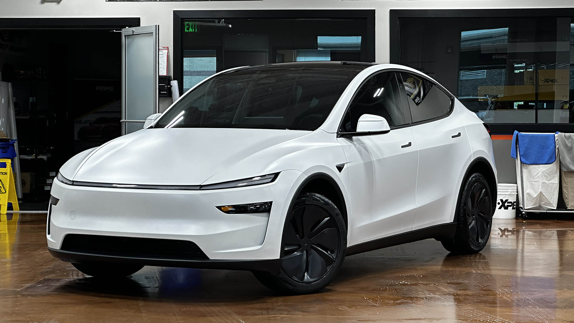 tesla model y juniper white xpel stealth ppf clear bra | NASHVILLE CLEARBRA