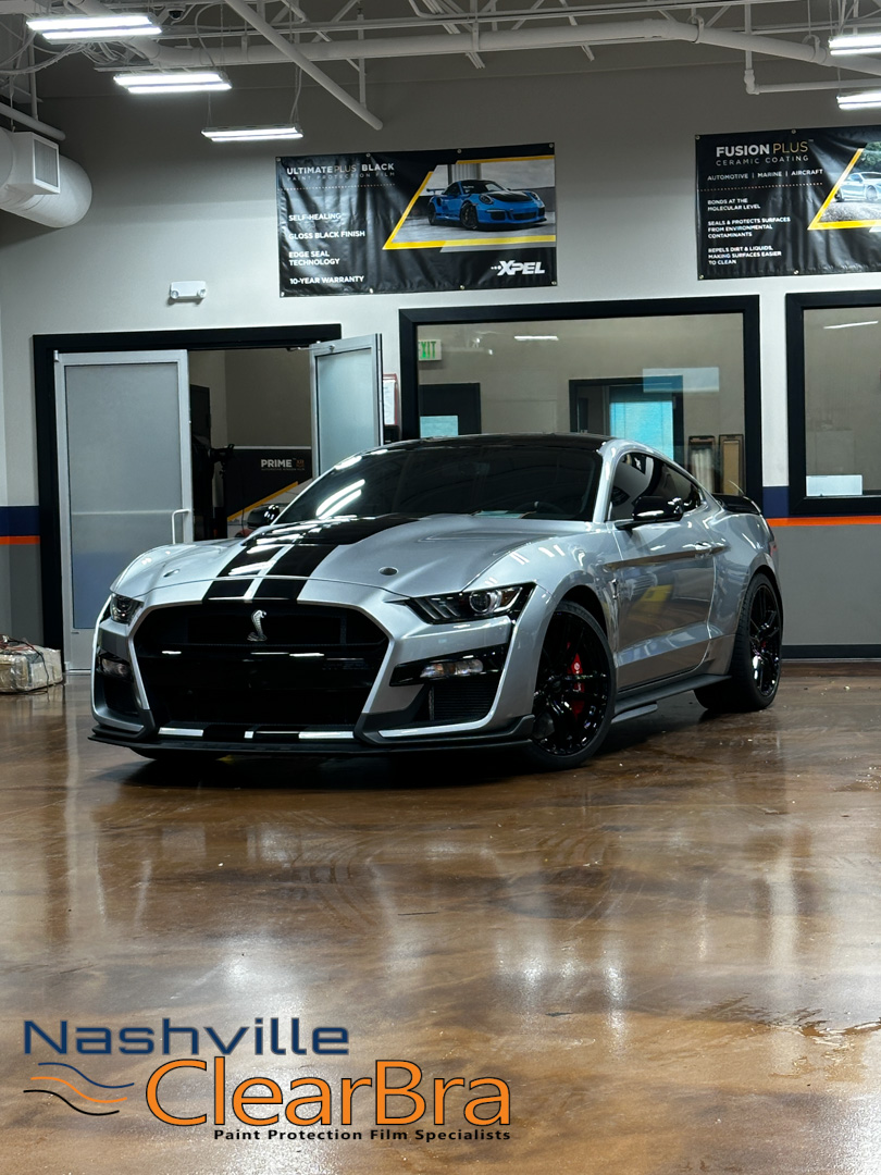Shelby GT500 Full PPF, Ceramic Coating & Tint | Nashville ClearBra