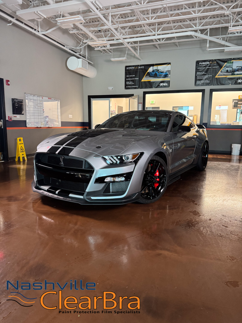Shelby GT500 Full PPF, Ceramic Coating & Tint | Nashville ClearBra
