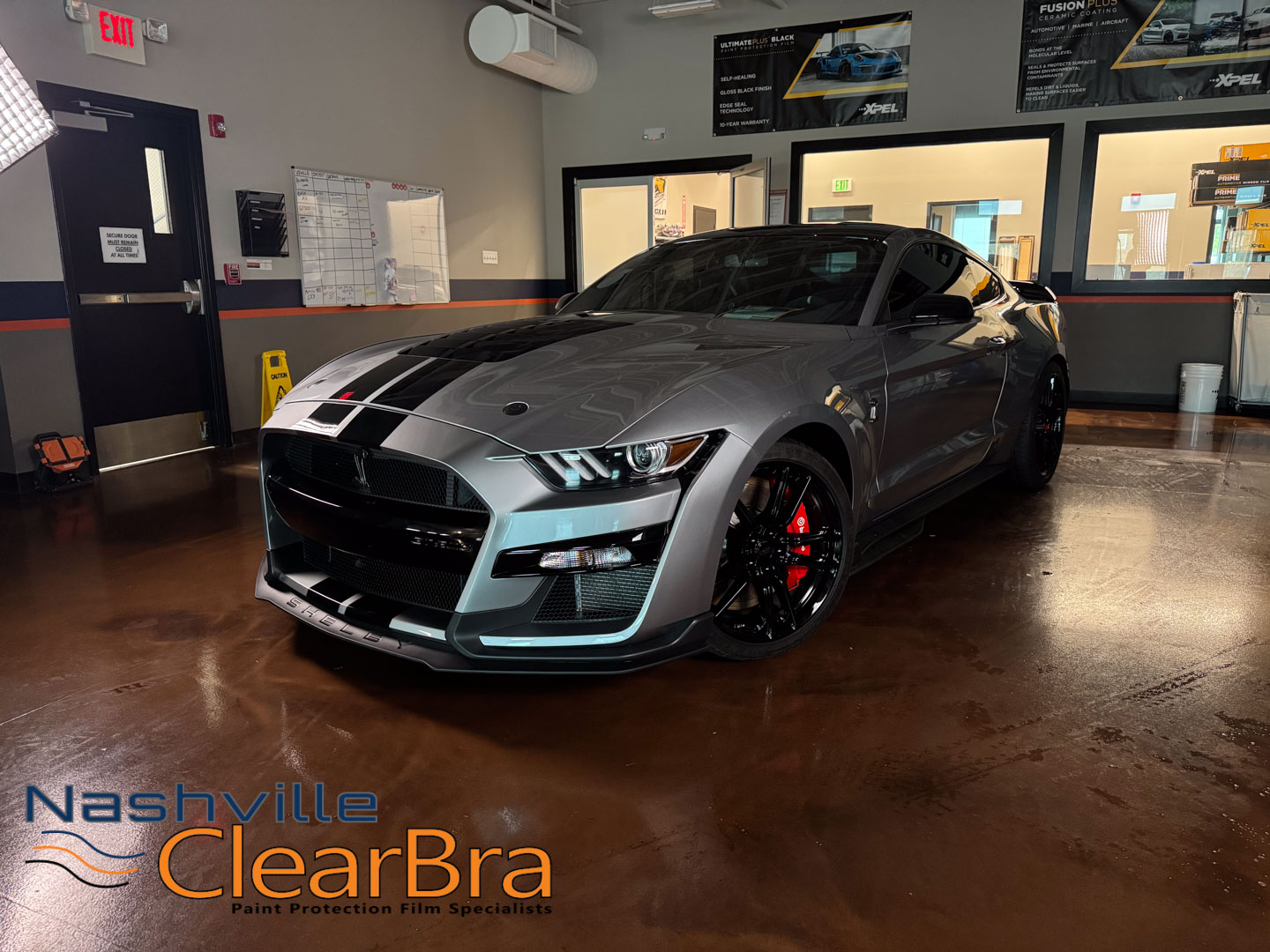 Shelby GT500 Full PPF, Ceramic Coating & Tint | Nashville ClearBra